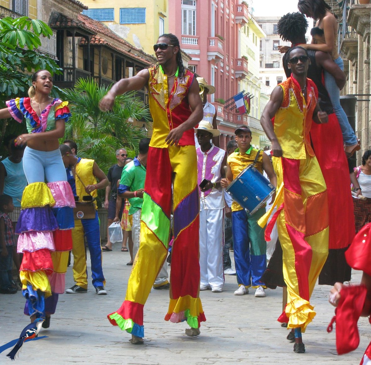 Profitez du Parti  La Havane, Cuba